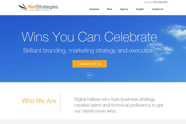 netstrategies.com site used Ad_hoc_portfolio