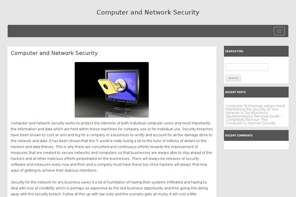 networksecuritytech.com site used STheme
