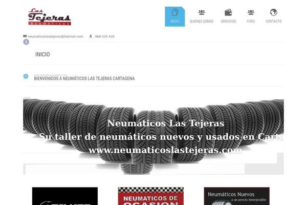 neumaticoslastejeras.com site used Car-repair-services-child