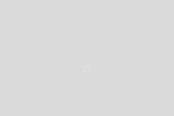 Divi theme site design template sample