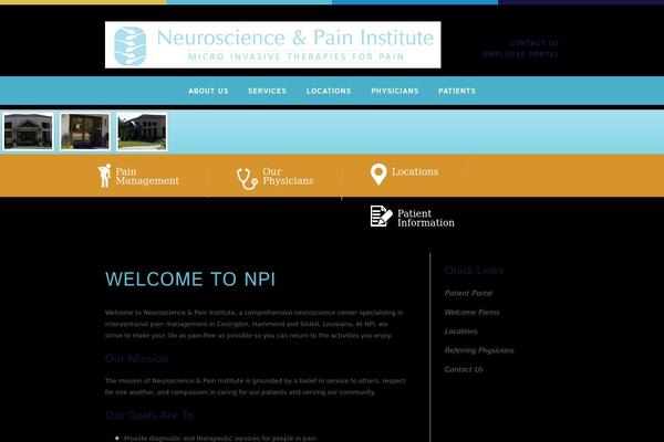 neuroscienceandpaininstitute.com site used Npi
