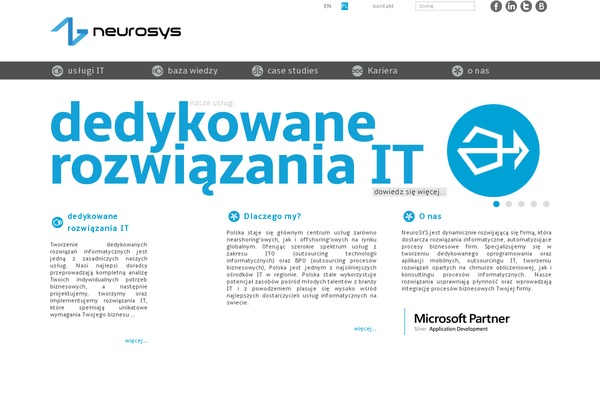 neurosys.pl site used Twentyeleven-neurosysnowy