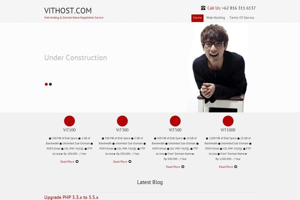 new.vithost.com site used SKT IT Consultant