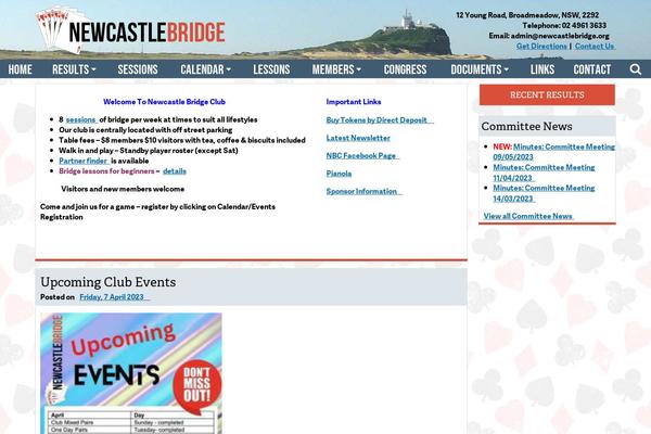 newcastlebridge.org site used Newcastlebridge