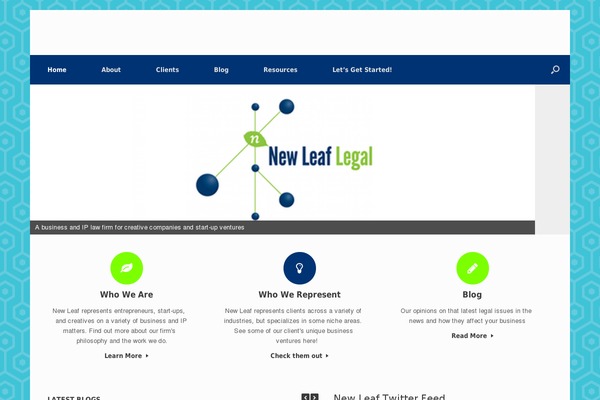 Site using Category Posts Widget plugin