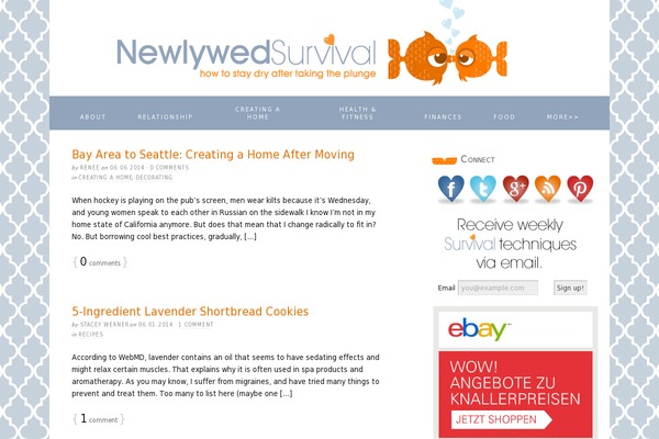 newlywedsurvival.com site used Tidy