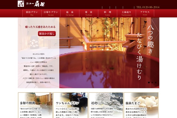 Site using Count per Day plugin