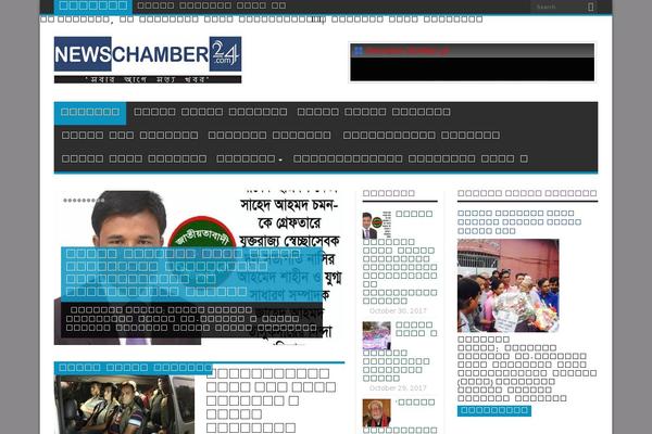 newschamber24.com site used Afroz