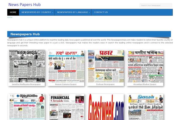 newspapershub.net site used InteriorWP