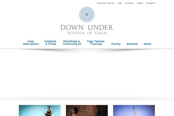 Site using Advanced Responsive Video Embedder plugin