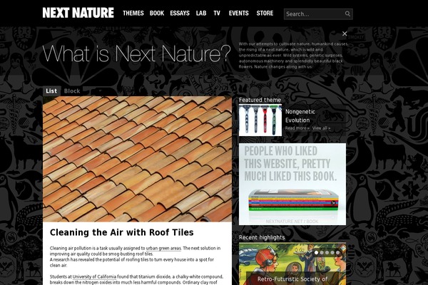 nn theme websites examples