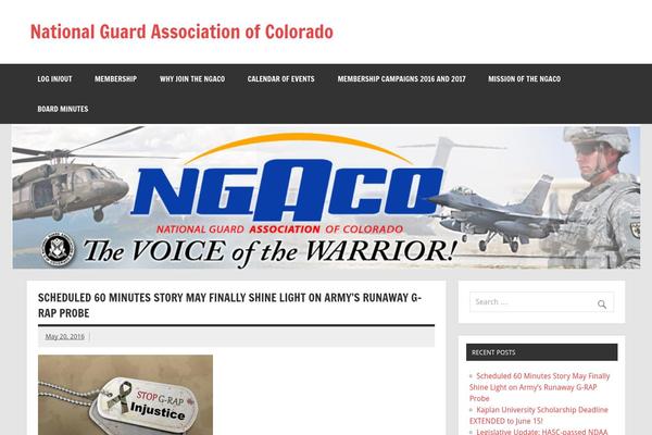Dynamic News Lite theme site design template sample