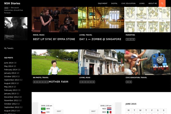 WordPress website example screenshot