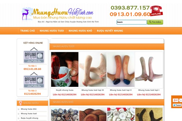 nhunghuouhatinh.com site used Thoitrangcuatoi