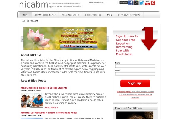 nicabm.com site used Nicabm-theme