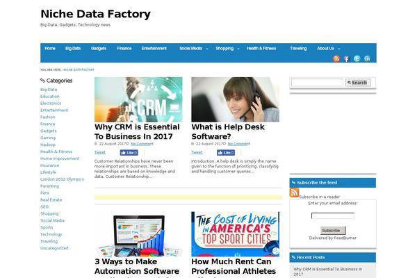 nichedatafactory.com site used Bluetune