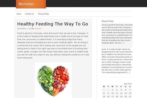 WordPress website example screenshot