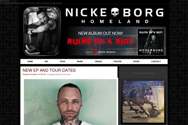 nickeborg.com site used Nickeborg
