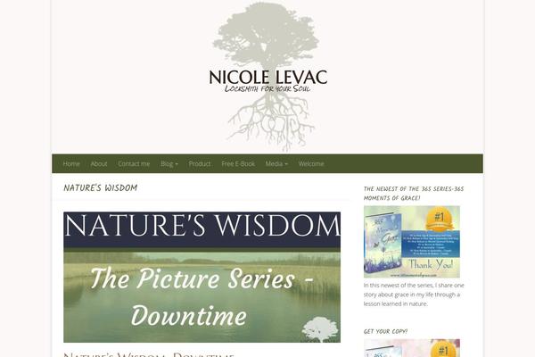 Hueman theme site design template sample