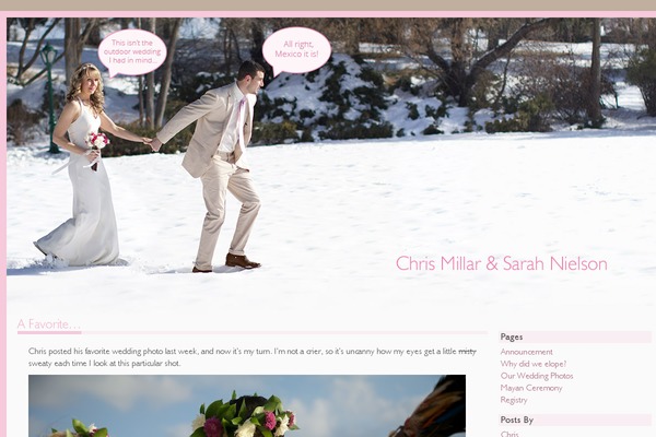 nielsonmillar.com site used Tbtg