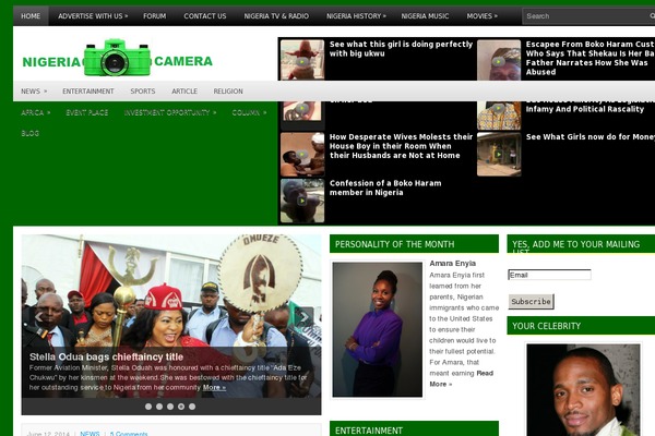 Netpress theme websites examples