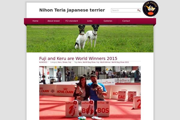 WordPress website example screenshot