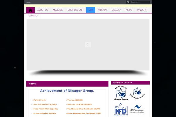 nilsagorgroup.com site used Nil