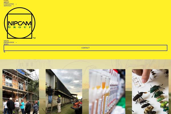 Site using Mailchimp-for-woocommerce plugin