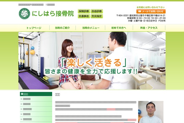 nishihara-osteopathic-clinic.com site used Standard_black_cmspro