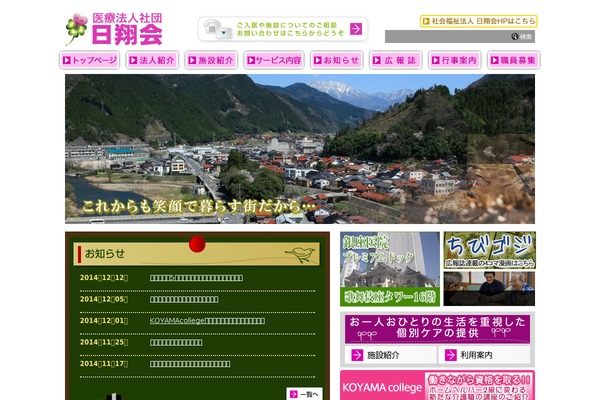 Site using FancyBox for WordPress plugin