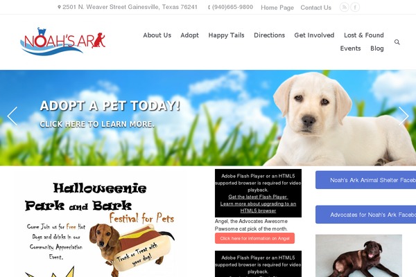 WordPress website example screenshot