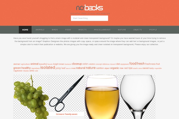 isolated WordPress theme, websites list used isolated theme isolated theme websites examples