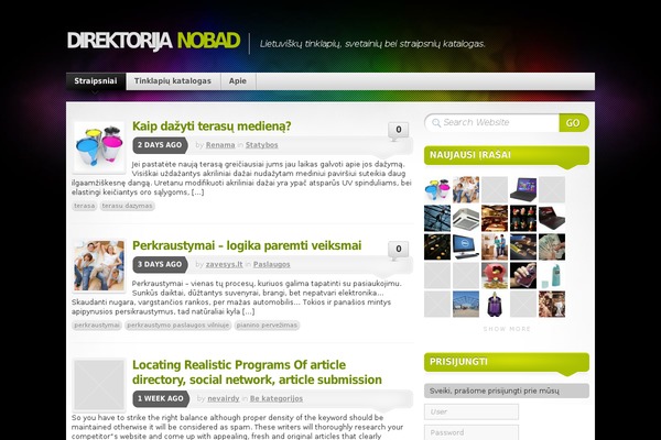 Mystique2 theme site design template sample