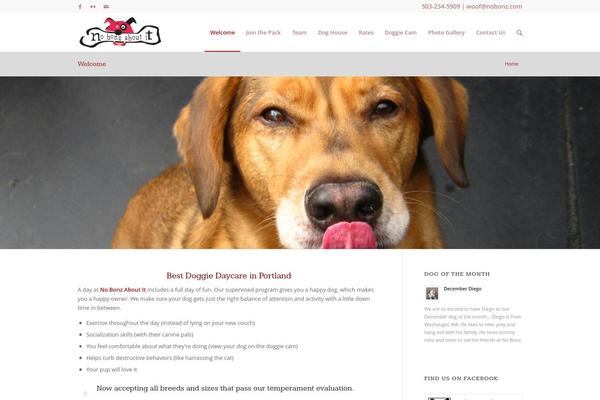 Enfold theme site design template sample