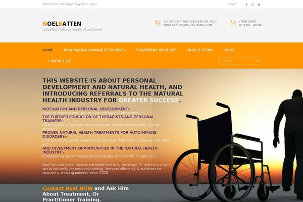noelbatten.com site used Axiom-welldone-child