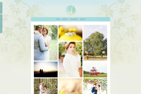 Prophoto4 theme site design template sample