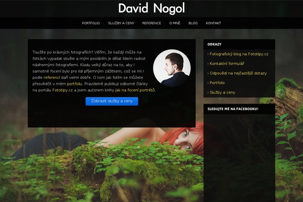 Photolux theme site design template sample