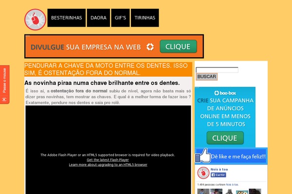 nv WordPress theme, websites list used nv theme nv theme websites examples