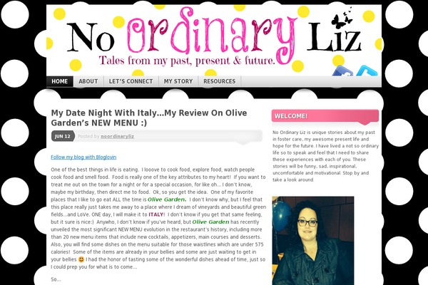 noordinaryliz.com site used Divibridgetheme