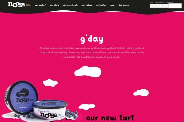 noosa theme websites examples