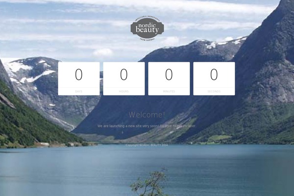 Nordic theme websites examples