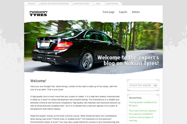 WordPress website example screenshot