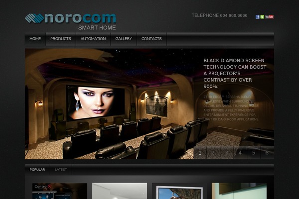 norocom.com site used Theme1618