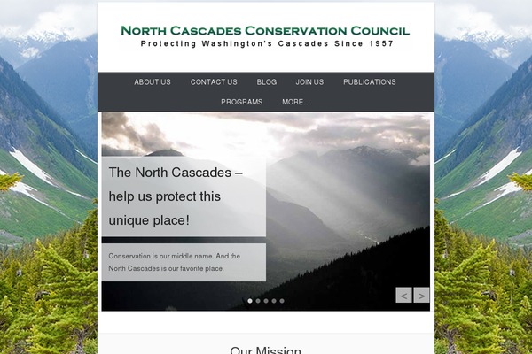 Catch Everest theme site design template sample