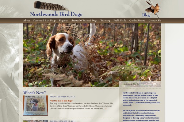 northwoodsbirddogs.com site used Northwoods