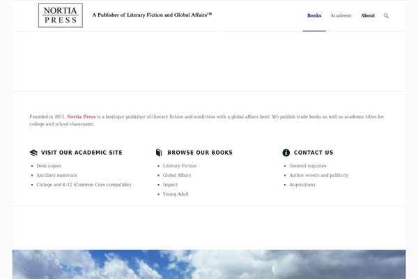 Divi theme site design template sample