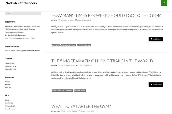 Ridizain theme site design template sample