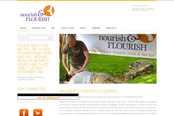 Nourish theme site design template sample
