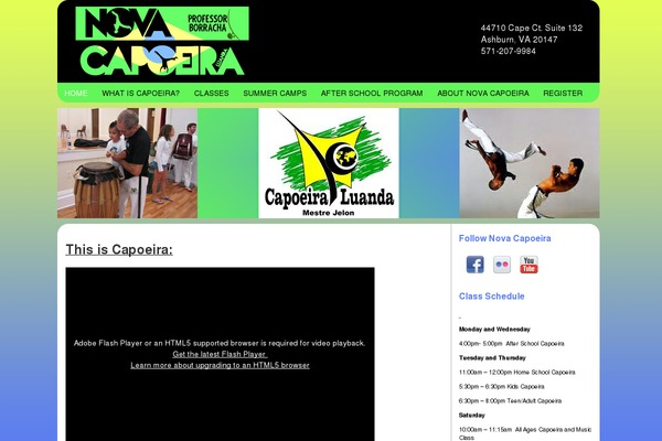 WordPress website example screenshot