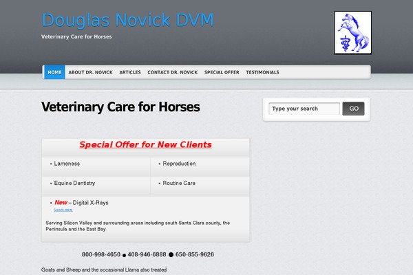 WordPress website example screenshot